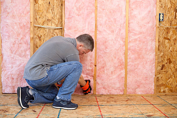 Best Residential Insulation in Carrollton, GA