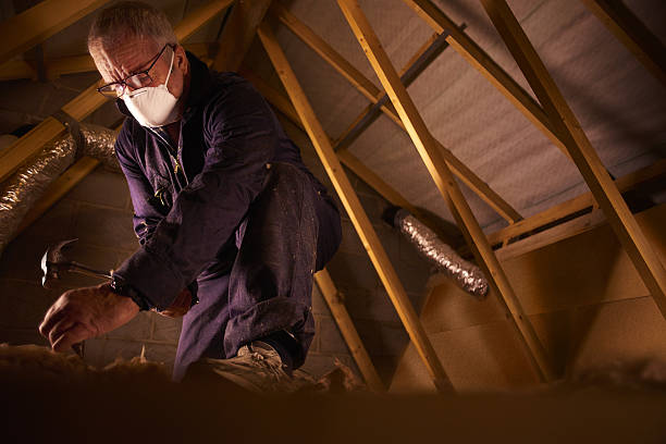 Best Commercial Insulation in Carrollton, GA