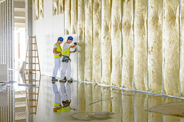 Best Blown-in Insulation in Carrollton, GA